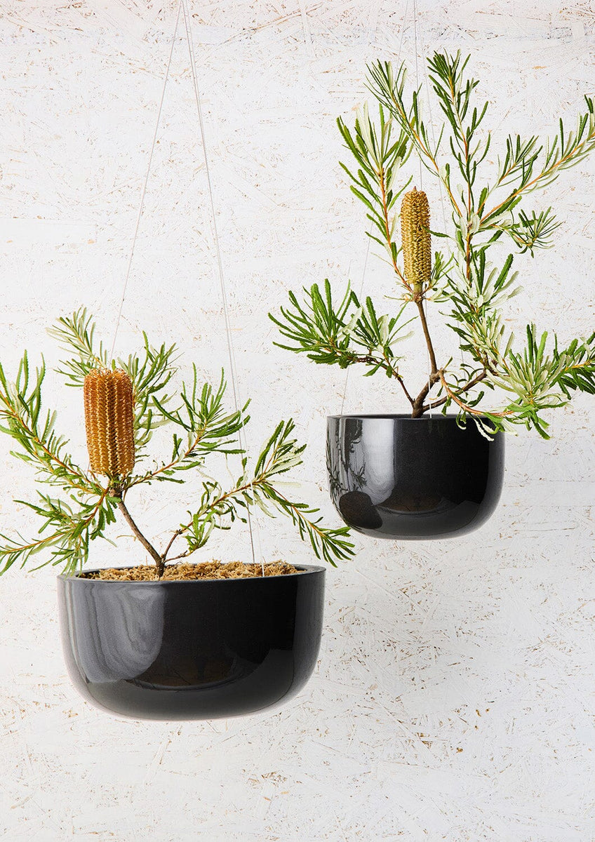 ceramic hanging planter australia Glazed Earth Hanging Planter