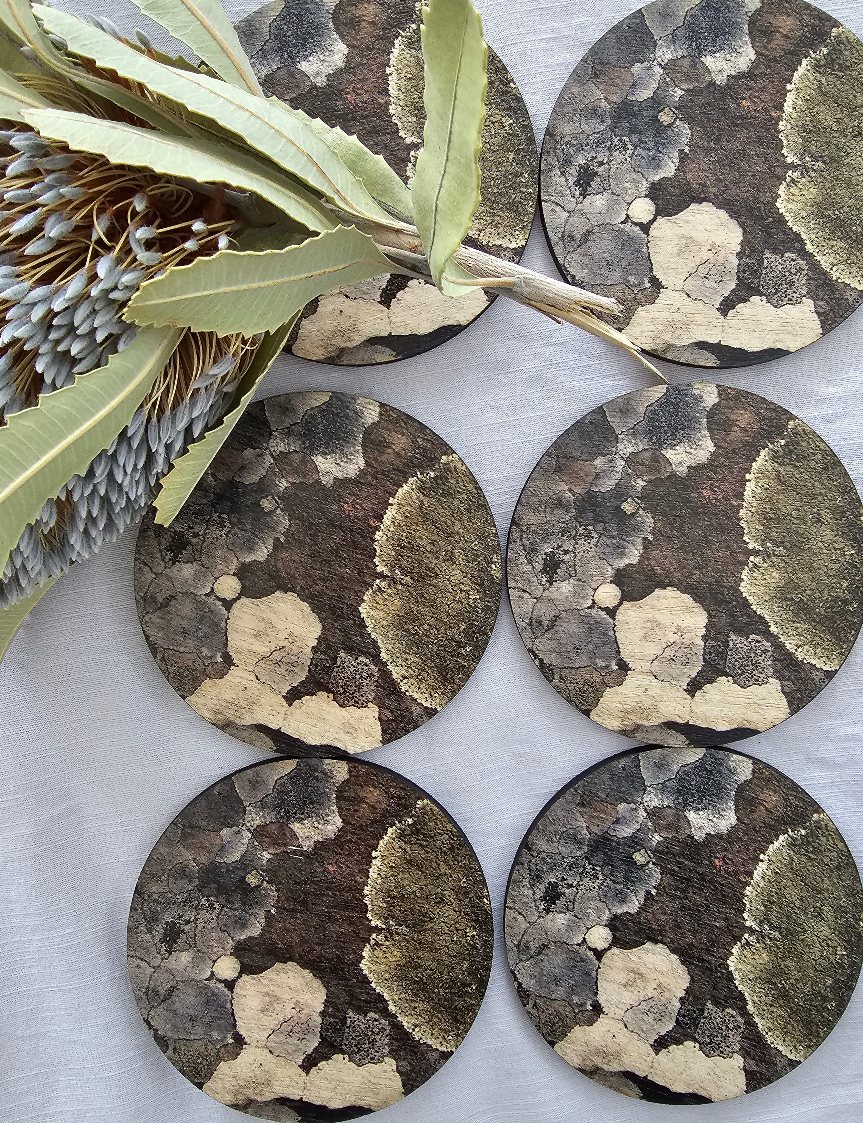 Coasters Cool Climate - The Spotted Quoll Studio tablewear The Spotted Quoll Cool Climate Lichen 