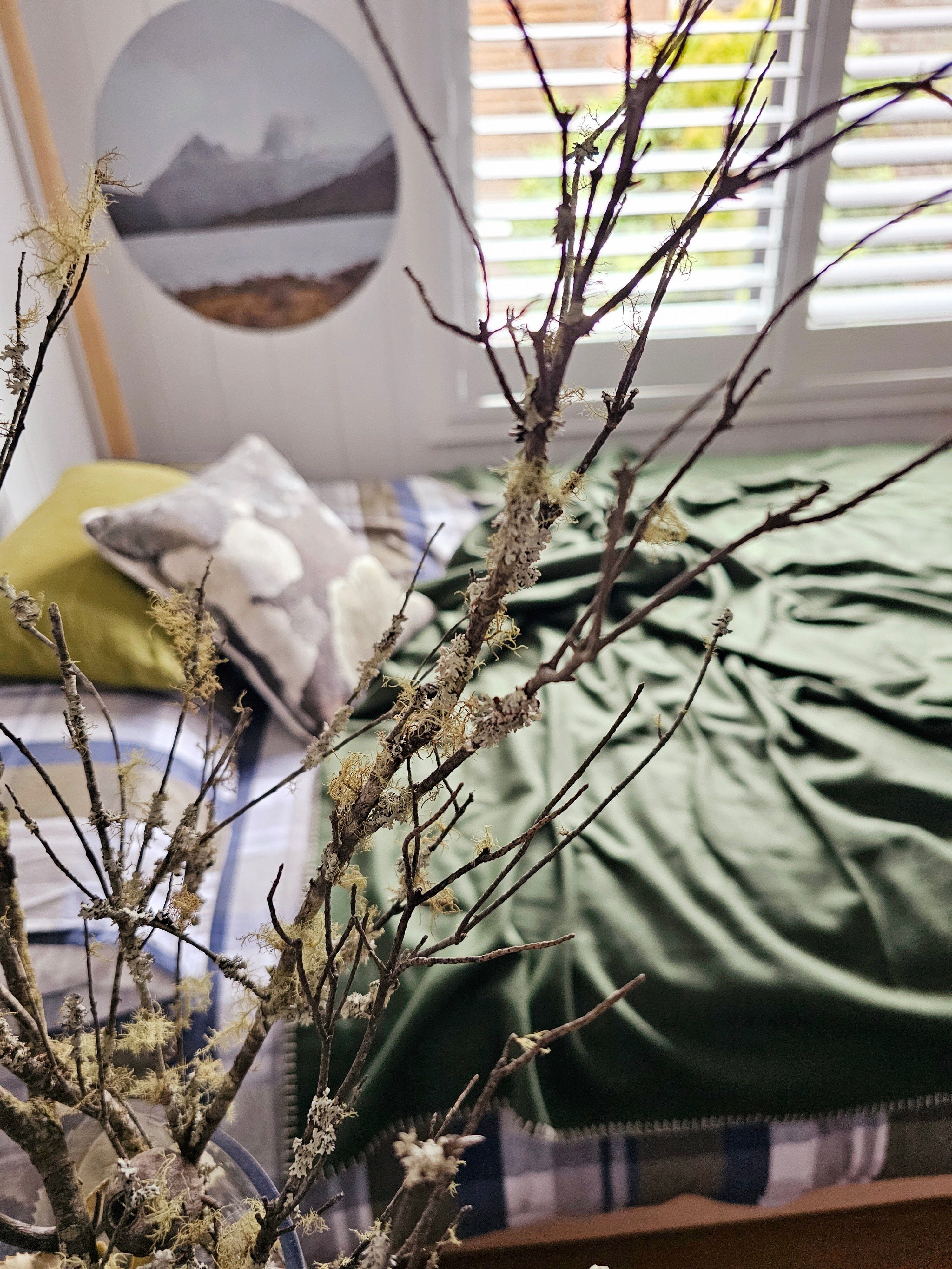 Organic Wool Felt Throw Throws The Spotted Quoll 