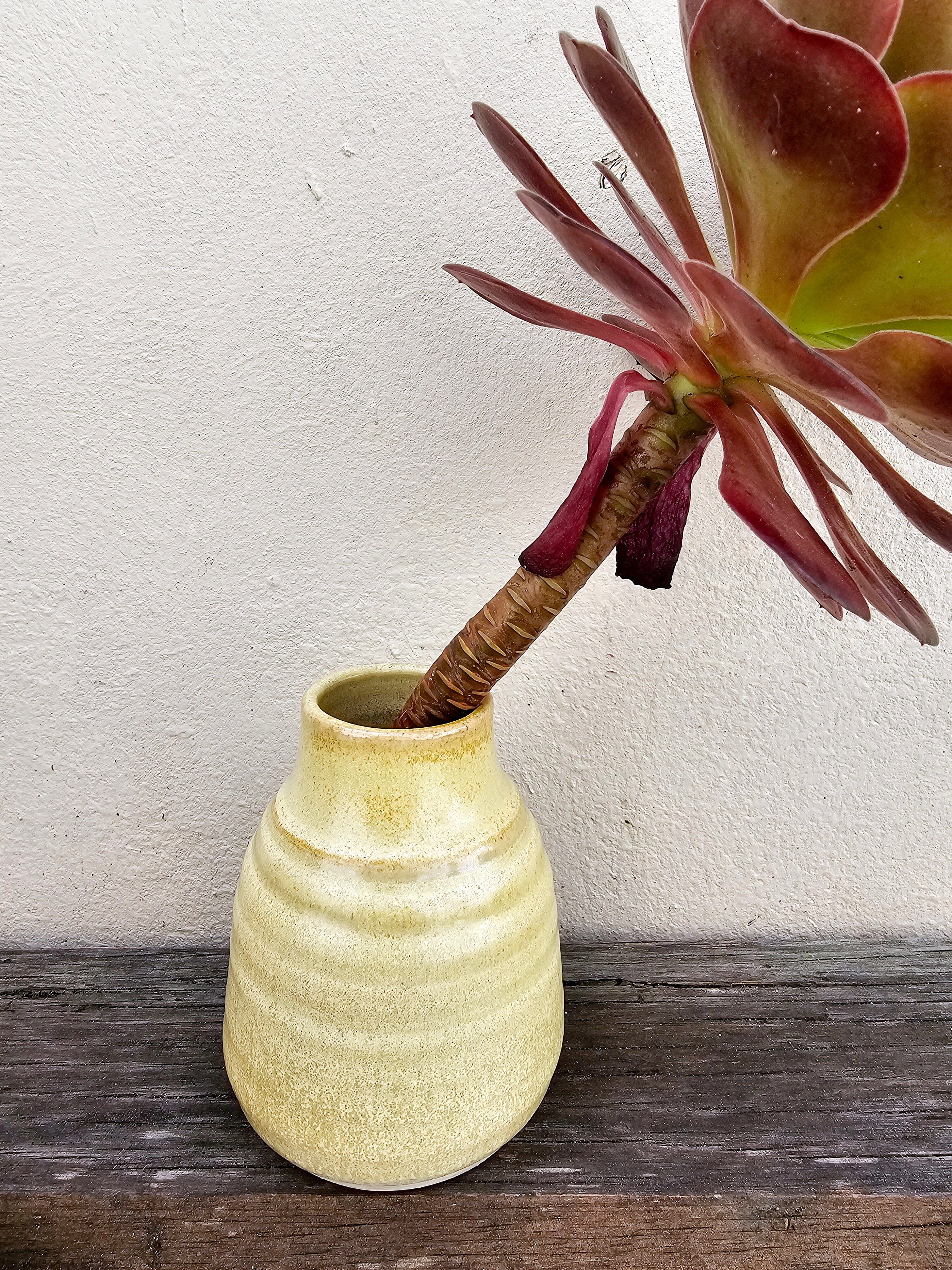 Handmade Ceramic Vases - The Little Mud Room Vase The Little Mud Room Med Rustic Squat 