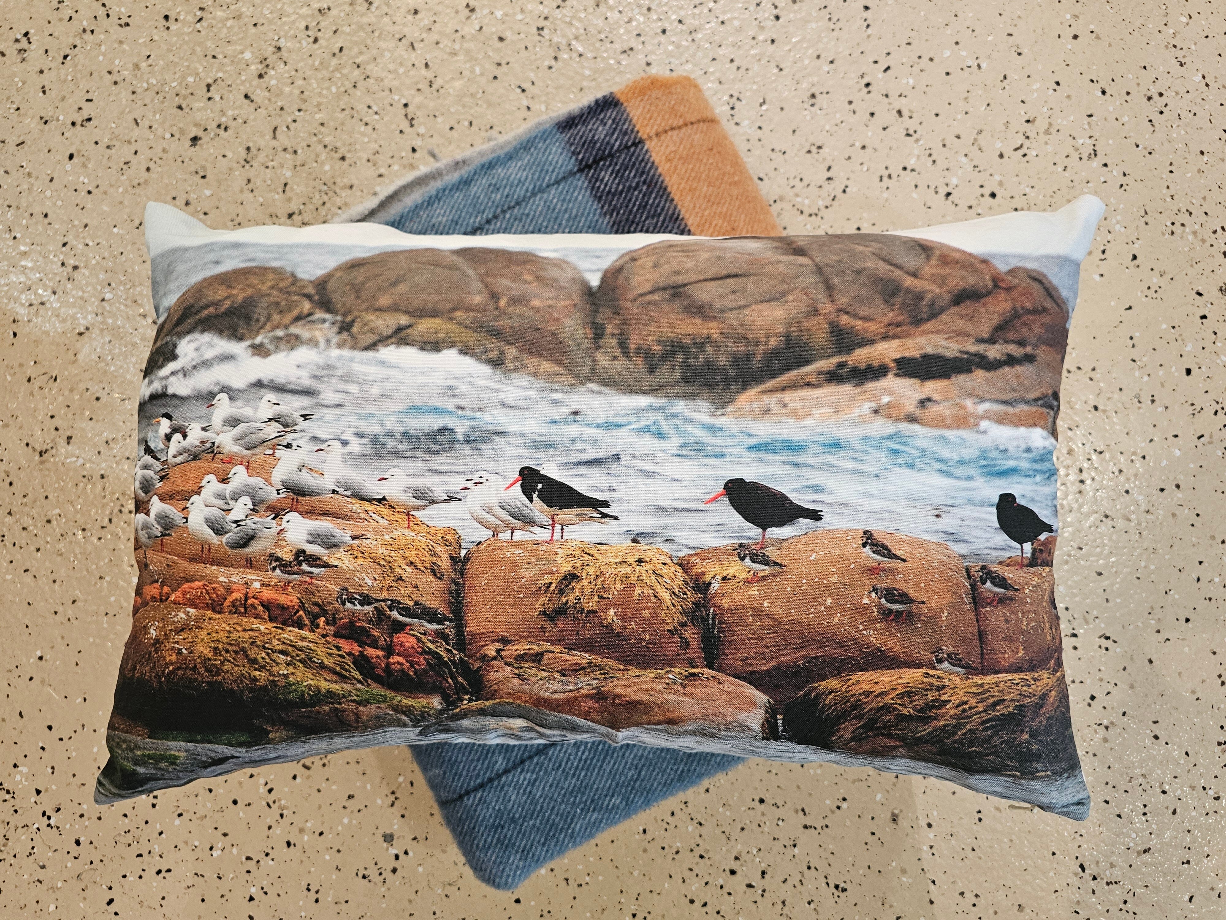 Oyster Catchers East Coast Cushion Cushions The Spotted Quoll 