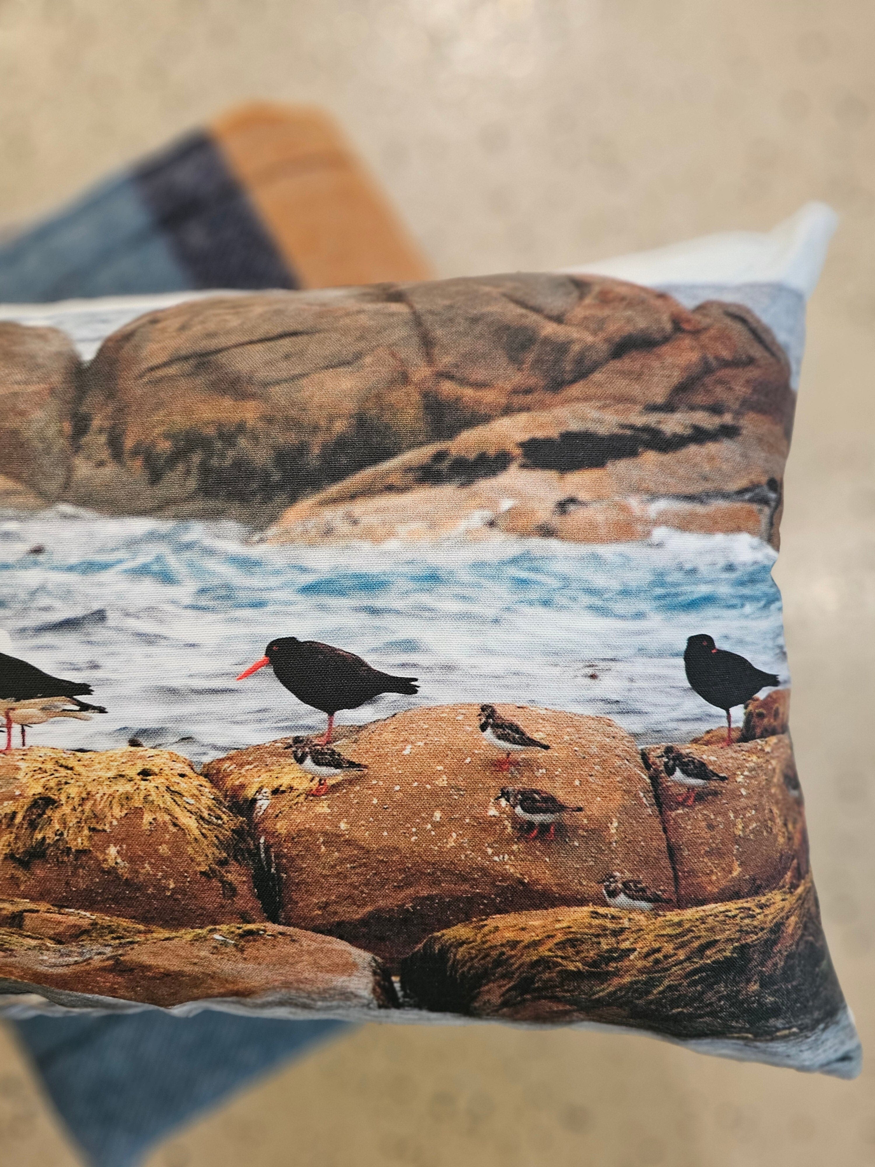 Oyster Catchers East Coast Cushion Cushions The Spotted Quoll 