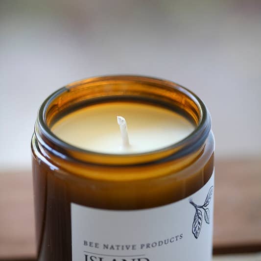 Bee Native - Soy Candle Candles Bee Native Products 