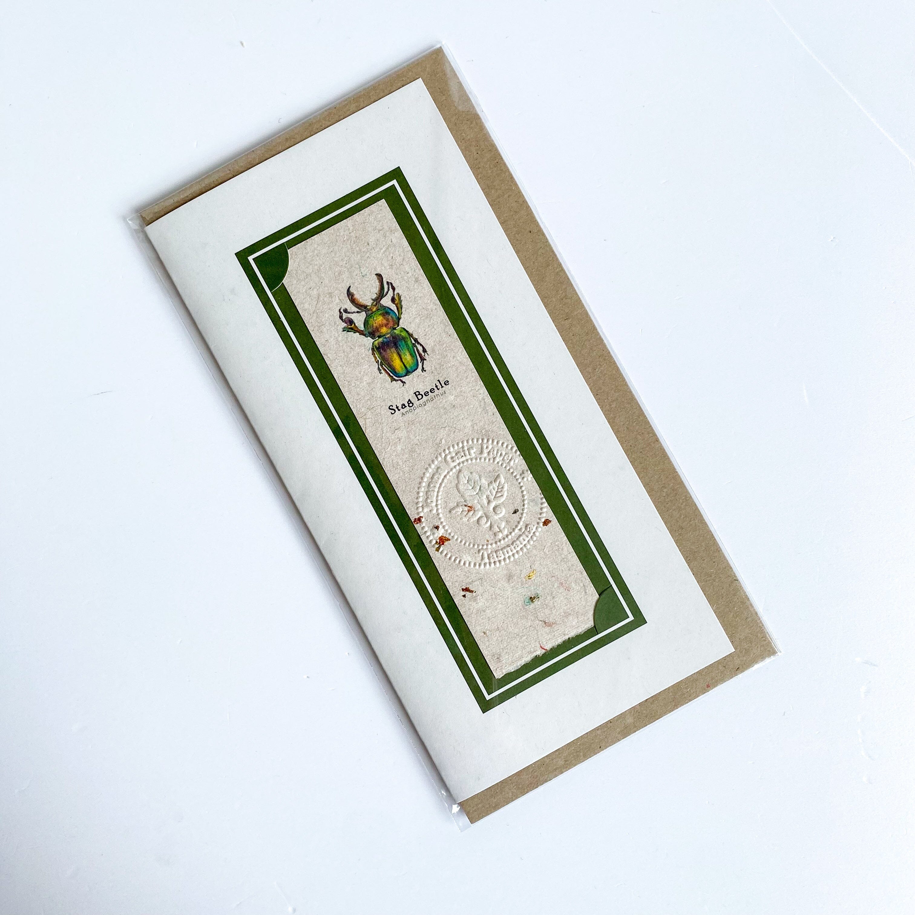 Handmade Tasmanian Cards - Joanna Gair Paper greeting cards Joanna Gair Paper Stag Beetle 