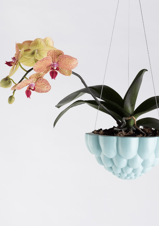 Hanging Jelly Planter - Angus and Celeste Pots angus and Celeste Blue 