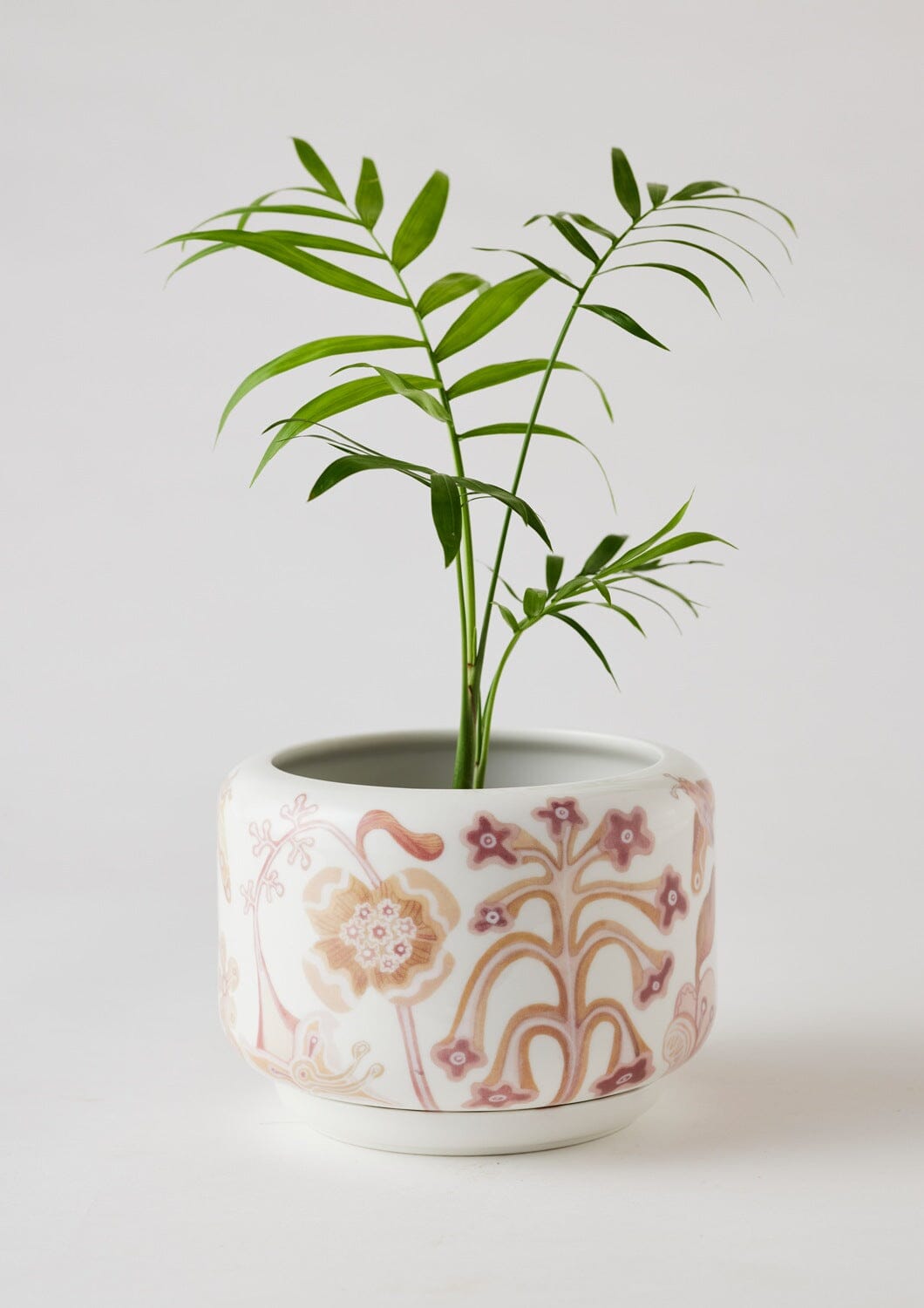 Decorative Succulent Pot - Angus and Celeste Pots angus and Celeste Bohemian Dusk 