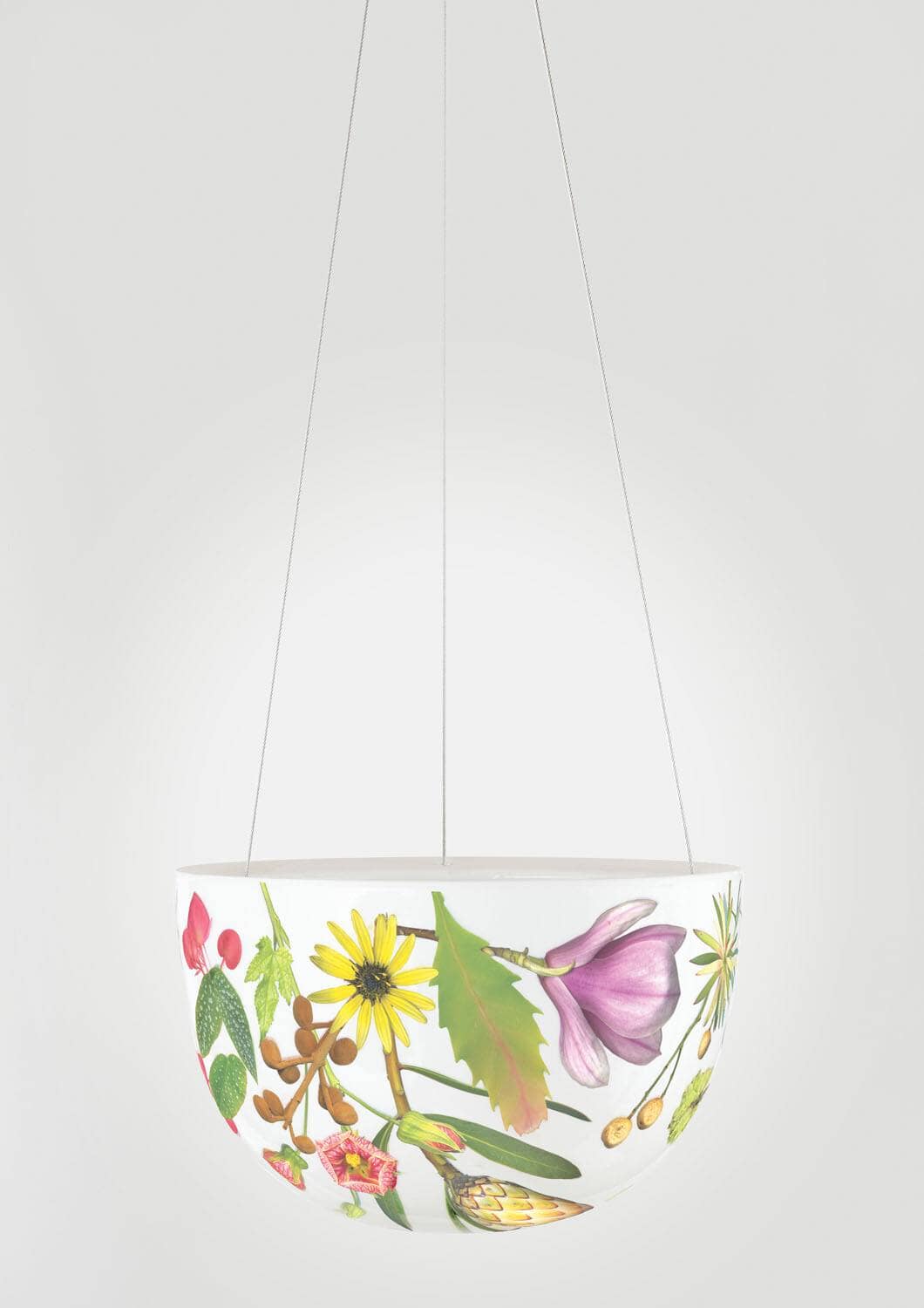 Decorative Hanging Planters - Angus and Celeste Pots angus and Celeste Spring Flowers 