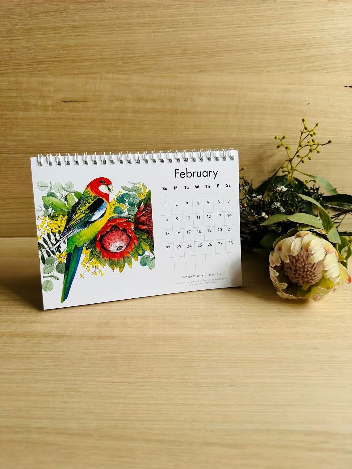 Birds of Australia 2026 Calendar - Monica Reeve Calendar The Spotted Quoll 