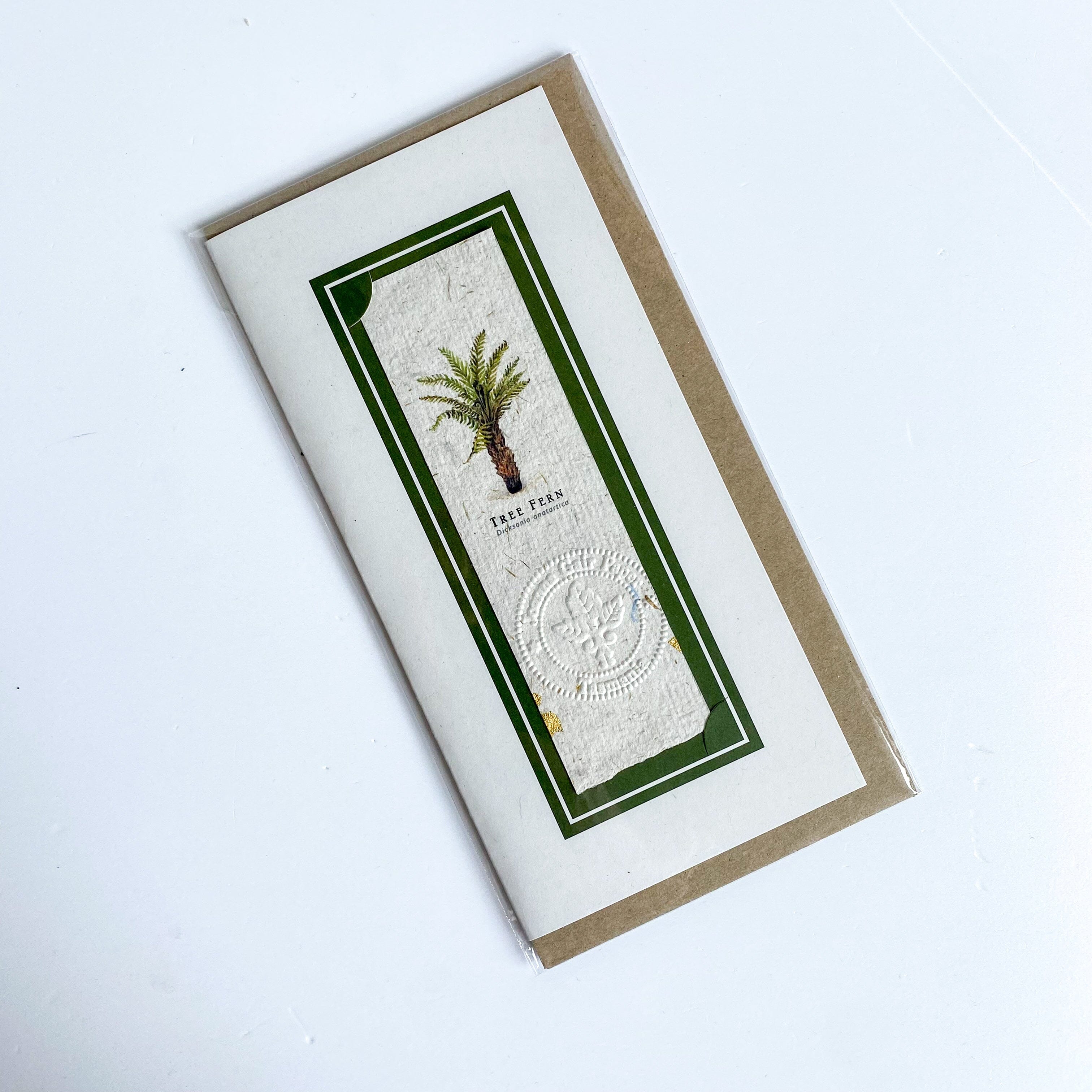 Handmade Tasmanian Cards - Joanna Gair Paper greeting cards Joanna Gair Paper Tree Fern 