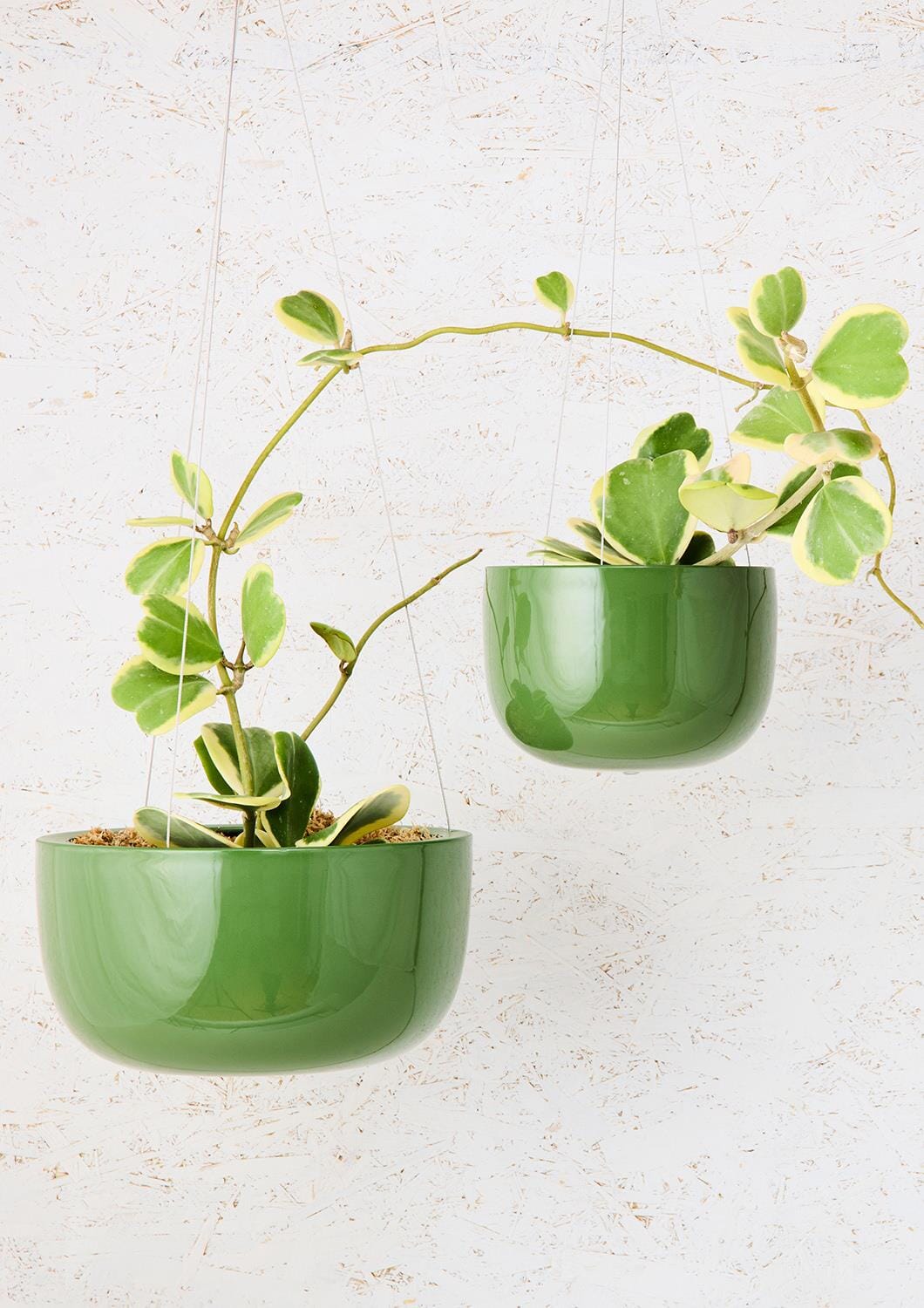 Glazed Earth Hanging Planter - Angus and Celeste Pots angus and Celeste Mid Forest Green Gloss 