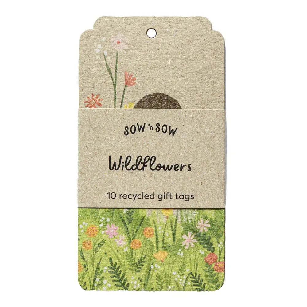 Recycled Gift Tags (10 per pack) greeting cards Sow ‘n Sow Wildflowers 