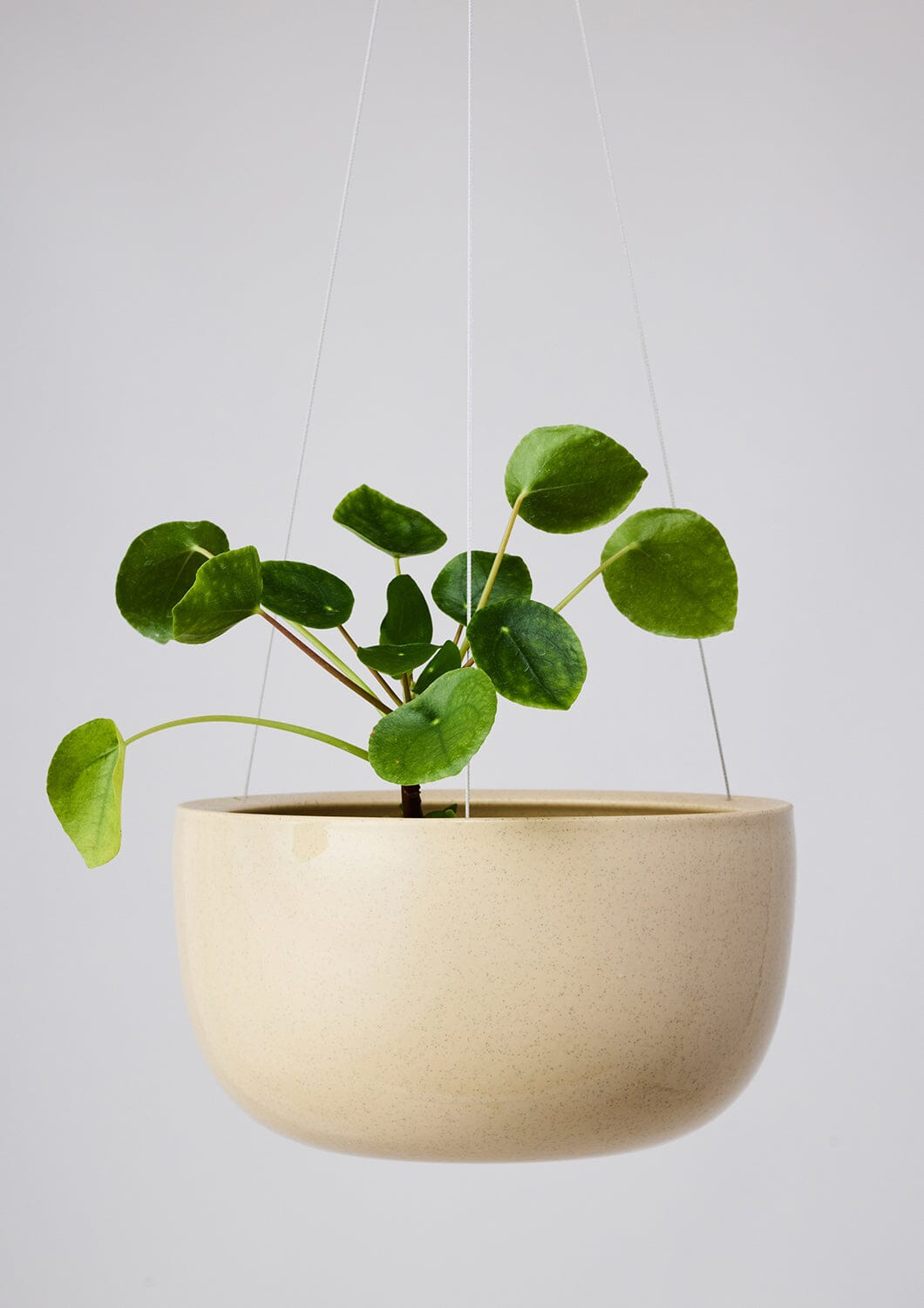 Glazed Earth Hanging Planter - Angus and Celeste Pots angus and Celeste Mid Speckled Clay 