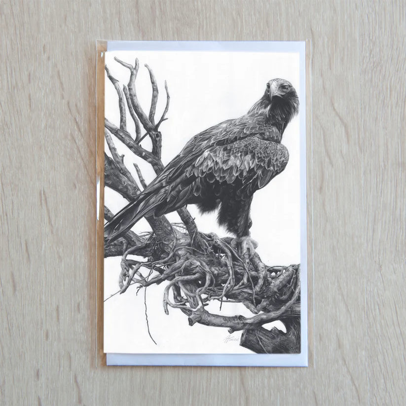 Fiona Francois Greeting Cards greeting cards Fiona Francois Wedgetailed Eagle 