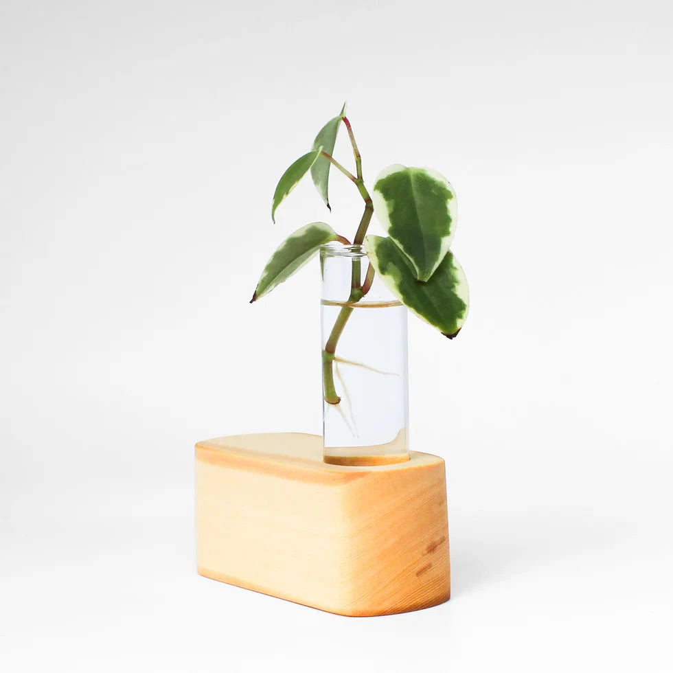 Wooden Propagation Station - Parkinson Wood Co Vase parkinson wood co Huon Pine 