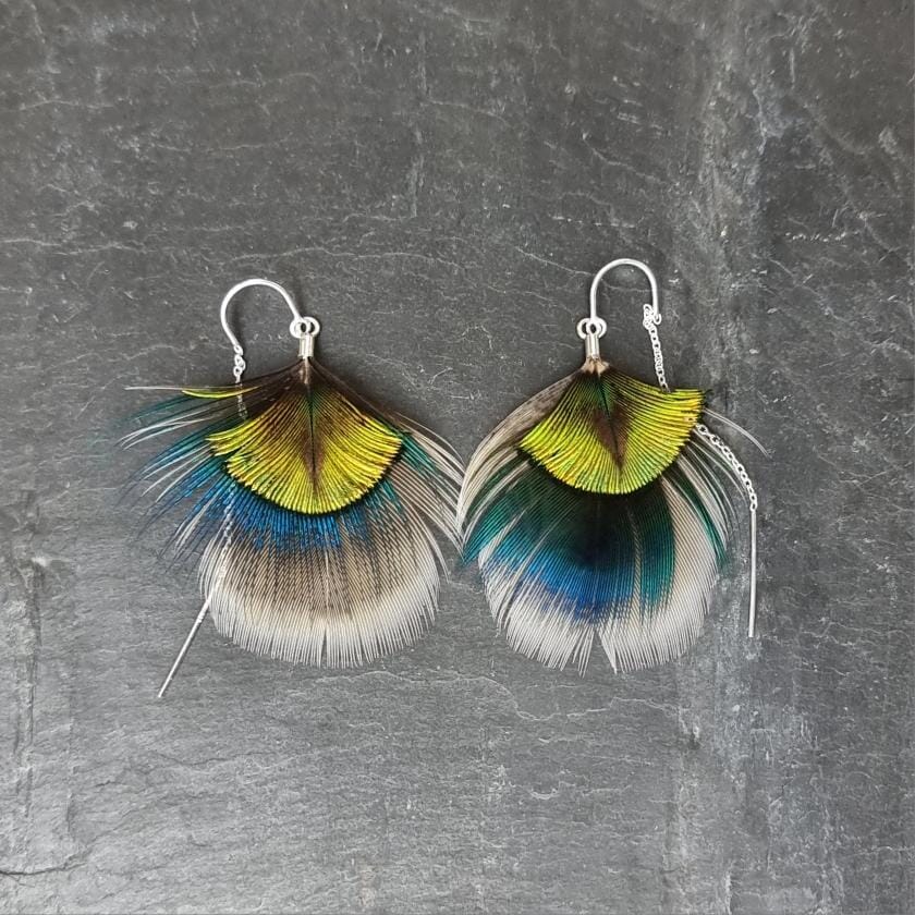 Peacock Feather Earrings - Emily Eliza Earrings Emily Eliza Arlotte Peacock White 