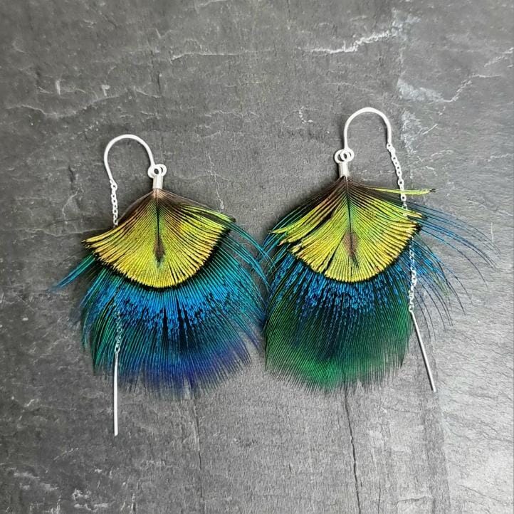 Peacock Feather Earrings - Emily Eliza Earrings Emily Eliza Arlotte Peacock 