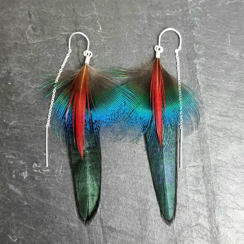 Peacock Feather Earrings - Emily Eliza Earrings Emily Eliza Arlotte Peacock Rooster 