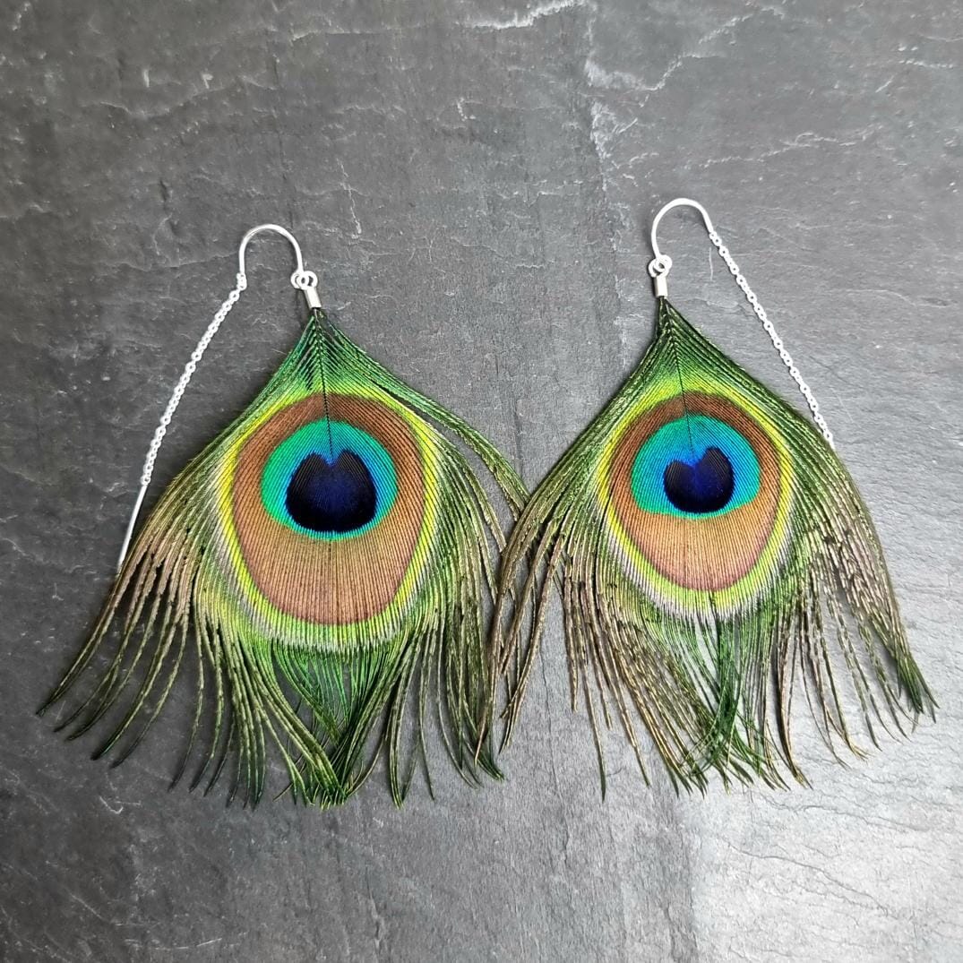 Peacock Feather Earrings - Emily Eliza Earrings Emily Eliza Arlotte Peacock Large 