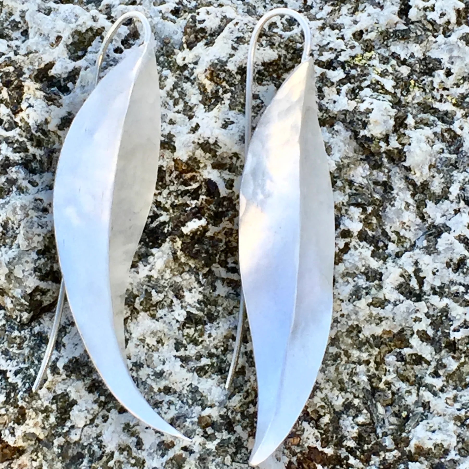 Eucalyptus Earrings Silver - Rare & Beautiful Earrings The rare and Beautiful 
