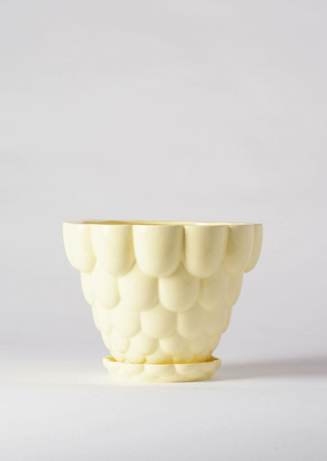 Jelly Plant Pot - Angus and Celeste Pots angus and Celeste Yellow 