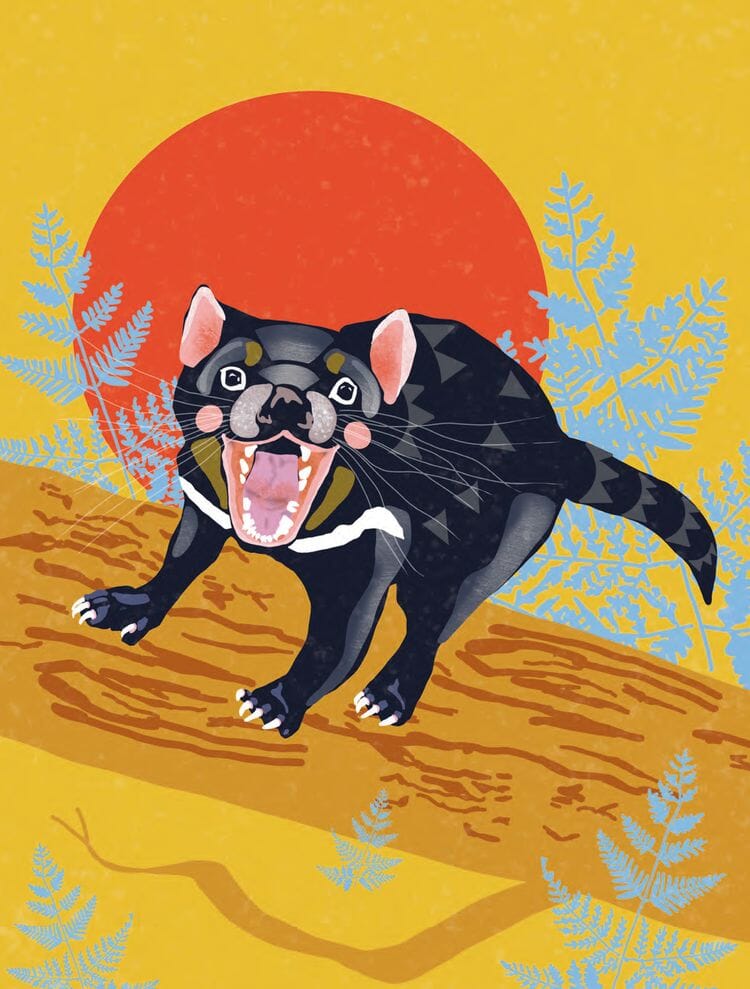 Wild Tasmania: Animals by Johanna Simkin Book Hobartisan Books 