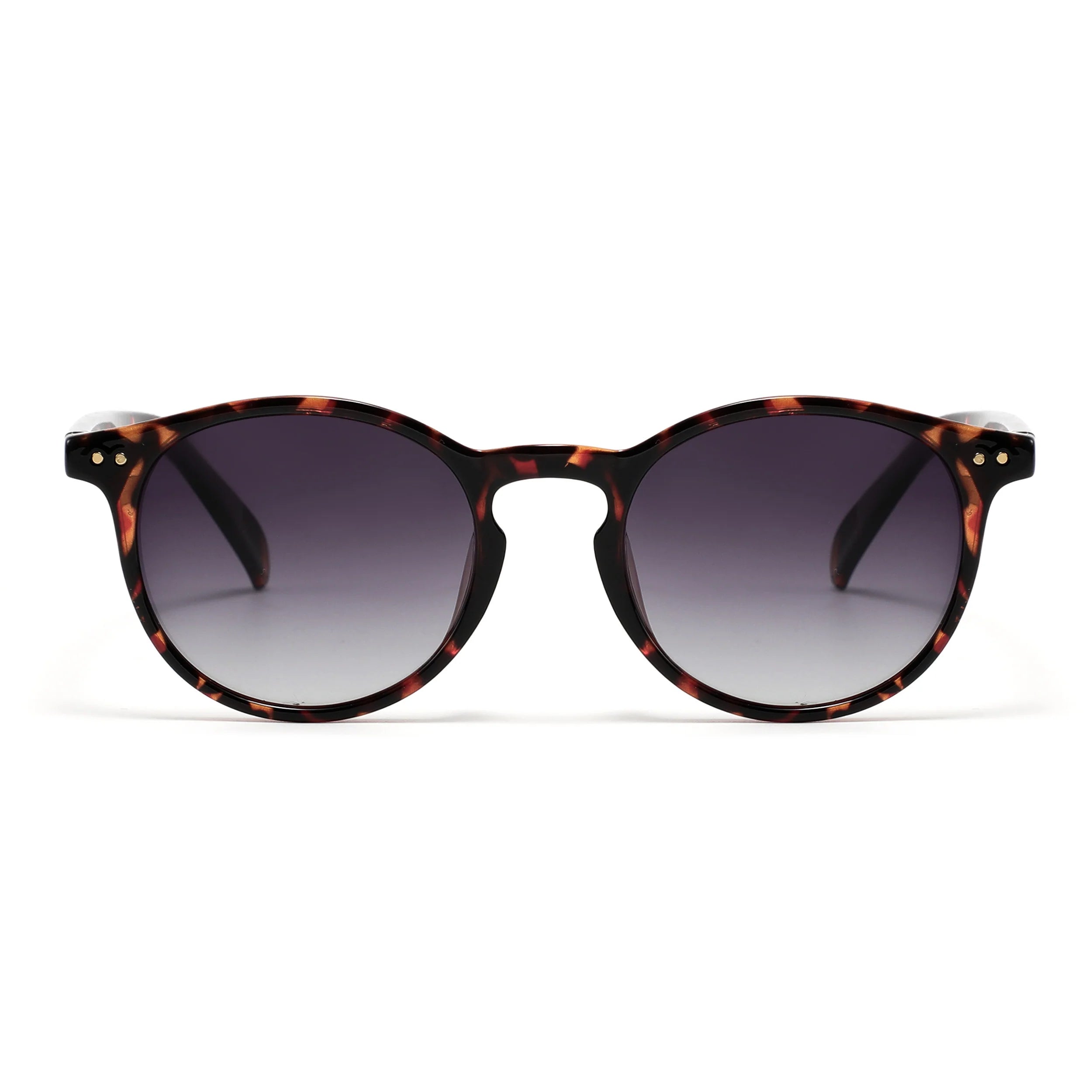 Archer Eyewear - Unisex Sunglasses Sunglasses Archer Eyewear Leo Tortoiseshell 