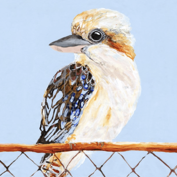 Grotti Lotti A3 Prints Art Print Grotti Lotti Luca the Kooka 