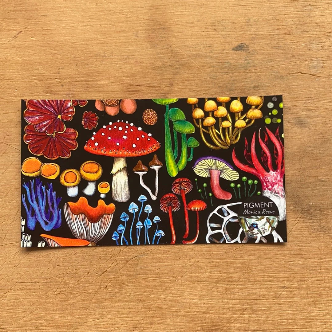 Tasmanian Magnets PIGMENT by Monica Reeve magnet Monica Reeve Tasmanian Fungi 