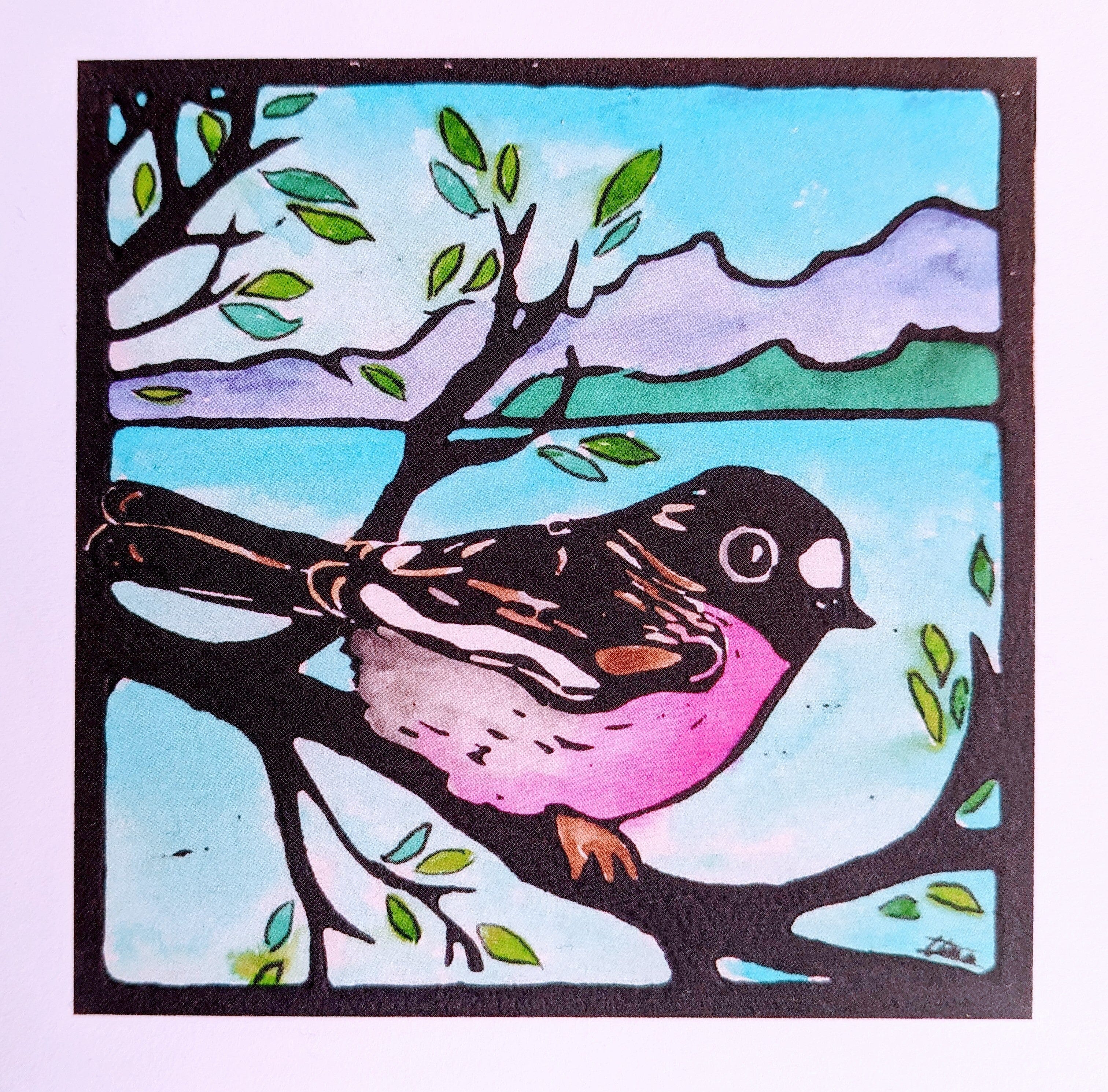 Tasmanian Greeting Cards by Ilana Bea Designs greeting cards Ilana Bea Designs Pink Robin in Spring 