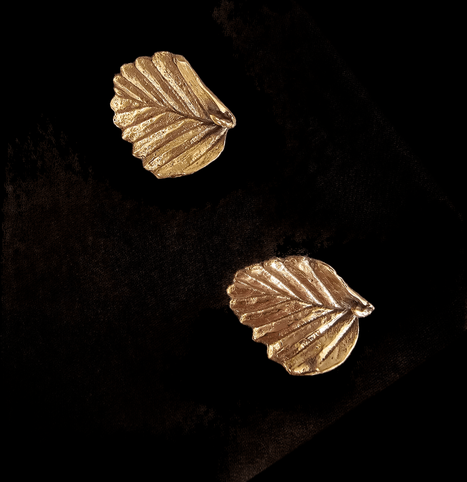 Fagus Leaf Earrings - Janny McKinnon Jewellery Janny Mckinnon Stud Bronze & Silver 20MM 