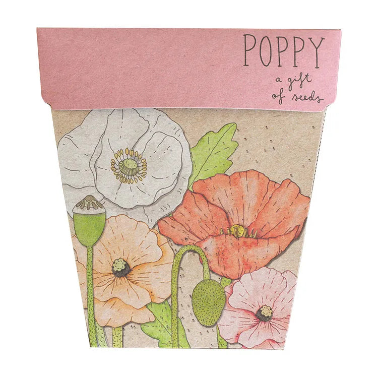 A Gift of Seeds Potted Houseplants Sow ‘n Sow Poppy 