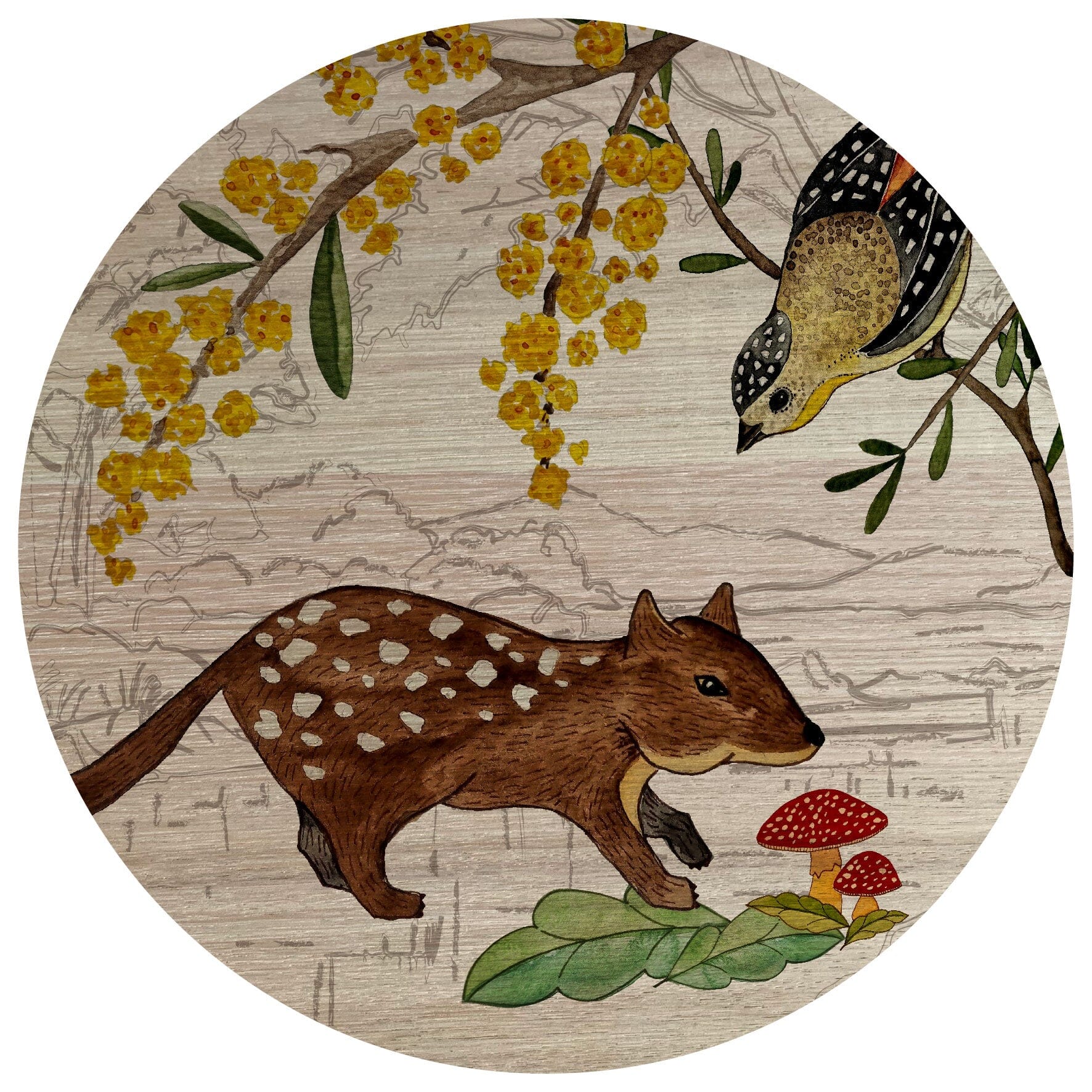 Junior Jigsaw Puzzle - Tasmanian Oak Veneer puzzle The Spotted Quoll Quoll & Pardalote 