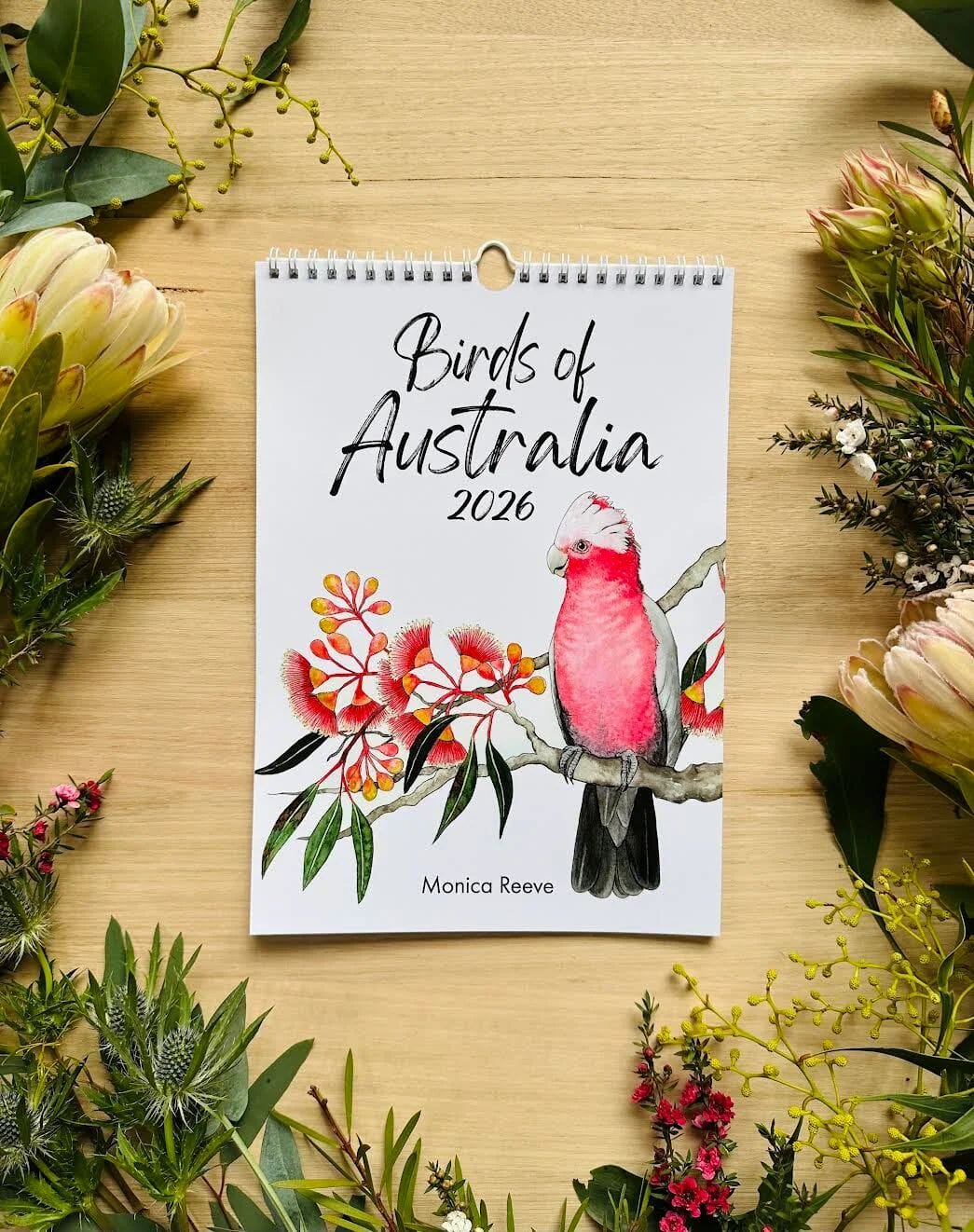 Birds of Australia 2026 Calendar - Monica Reeve Calendar The Spotted Quoll Wall Calendar 
