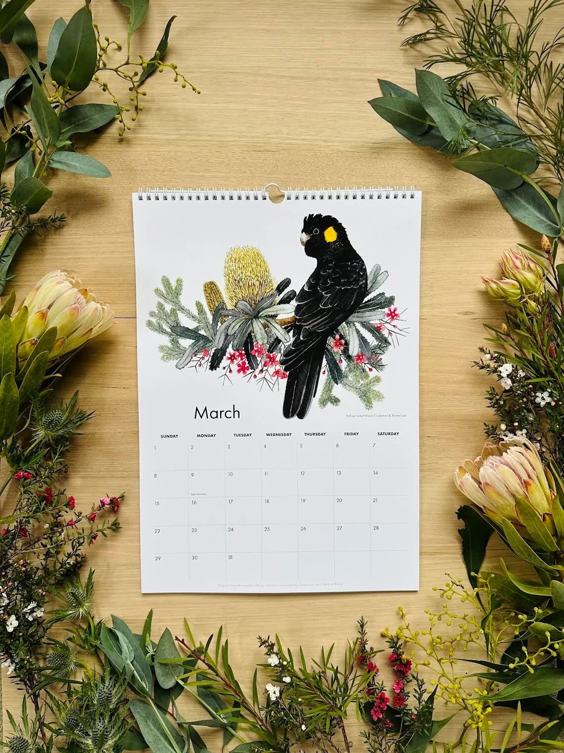 Birds of Australia 2026 Calendar - Monica Reeve Calendar The Spotted Quoll 