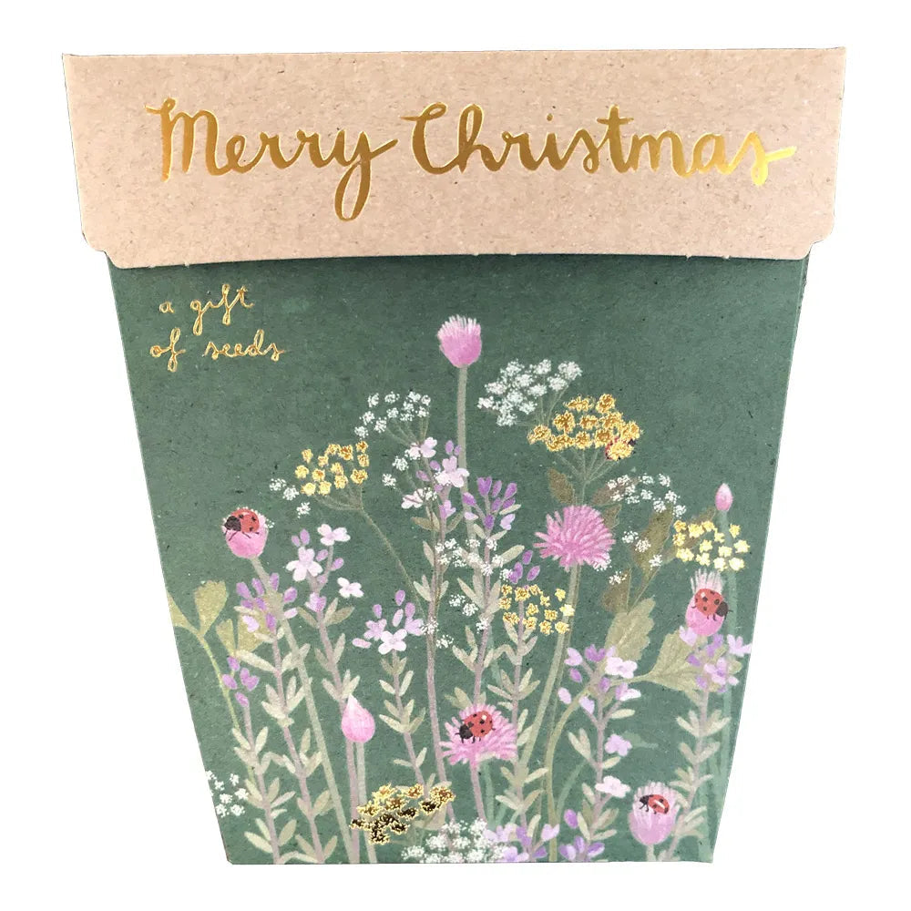 A Gift of Seeds Christmas Cards - Sow 'n Sow Potted Houseplants Sow ‘n Sow 