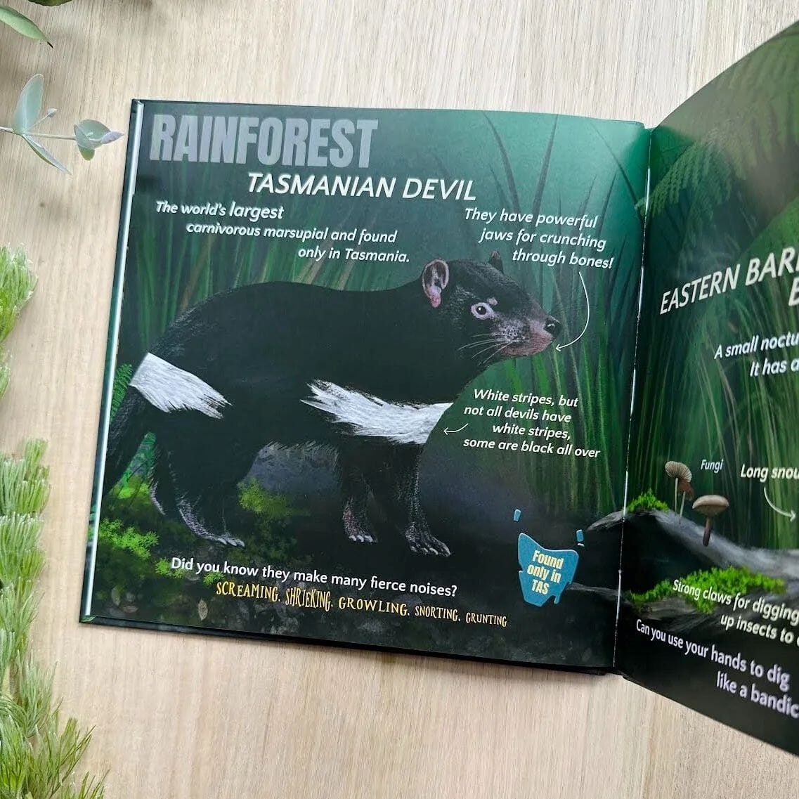 Wild about Tasmania Picture Book by Monica Reeves Book Monica Reeve 