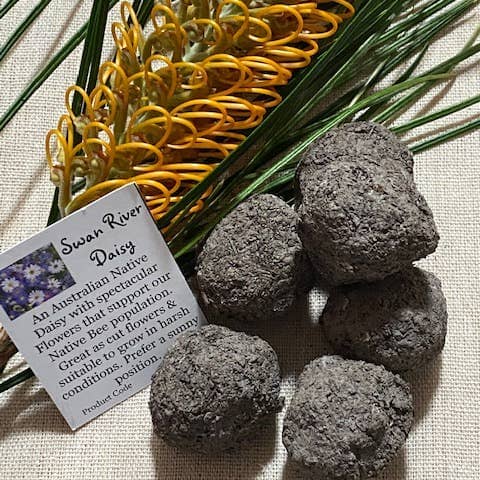 Aussie Seed Bombs Plants The Spotted Quoll Native Blue & White Swan River Daisies 
