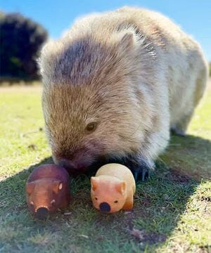 Mini Huon Pine Wombats - The Edge of Nature Figurine The Edge of Nature 