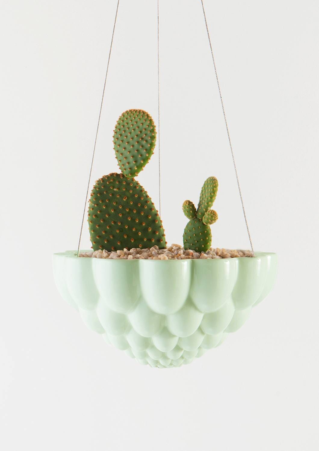 Hanging Jelly Planter - Angus and Celeste Pots angus and Celeste Green 