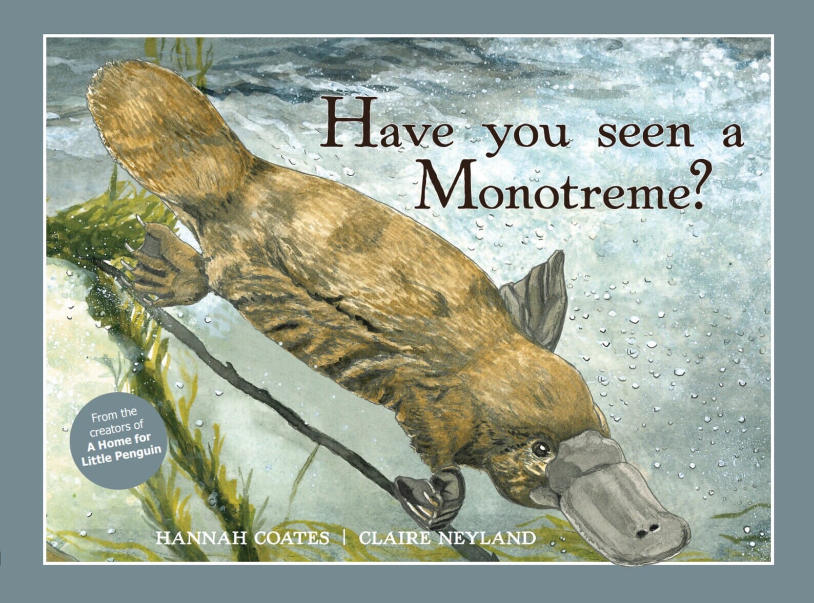 Have You Seen A Monotreme? - Book book Hannah Coates and Claire Neyland 