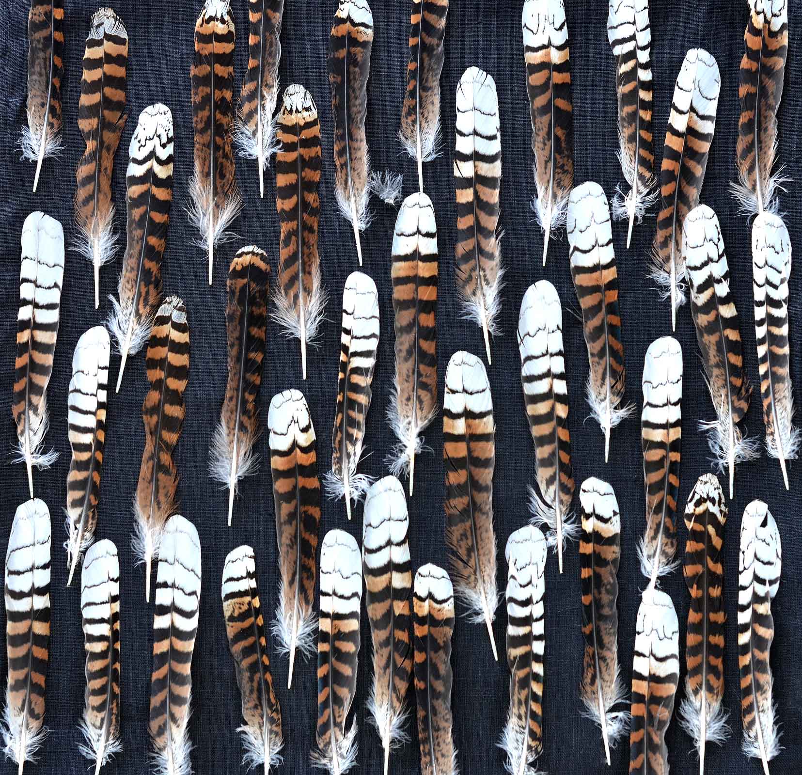 Fabric Linen Hemp by the meter fabric The Spotted Quoll Studio 1M Kookaburra Feather 