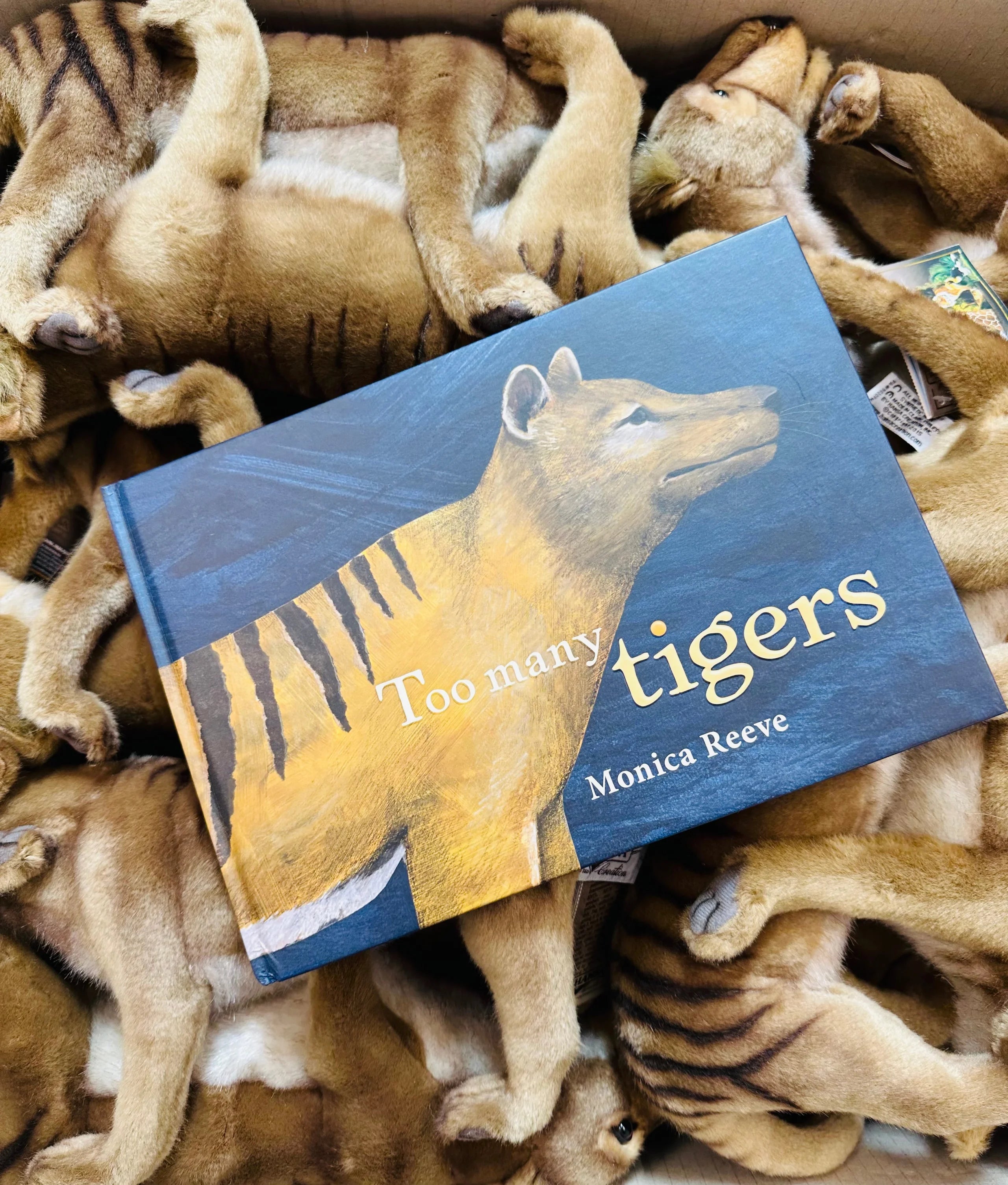 Too Many Tigers by Monica Reeve Book Monica Reeve 