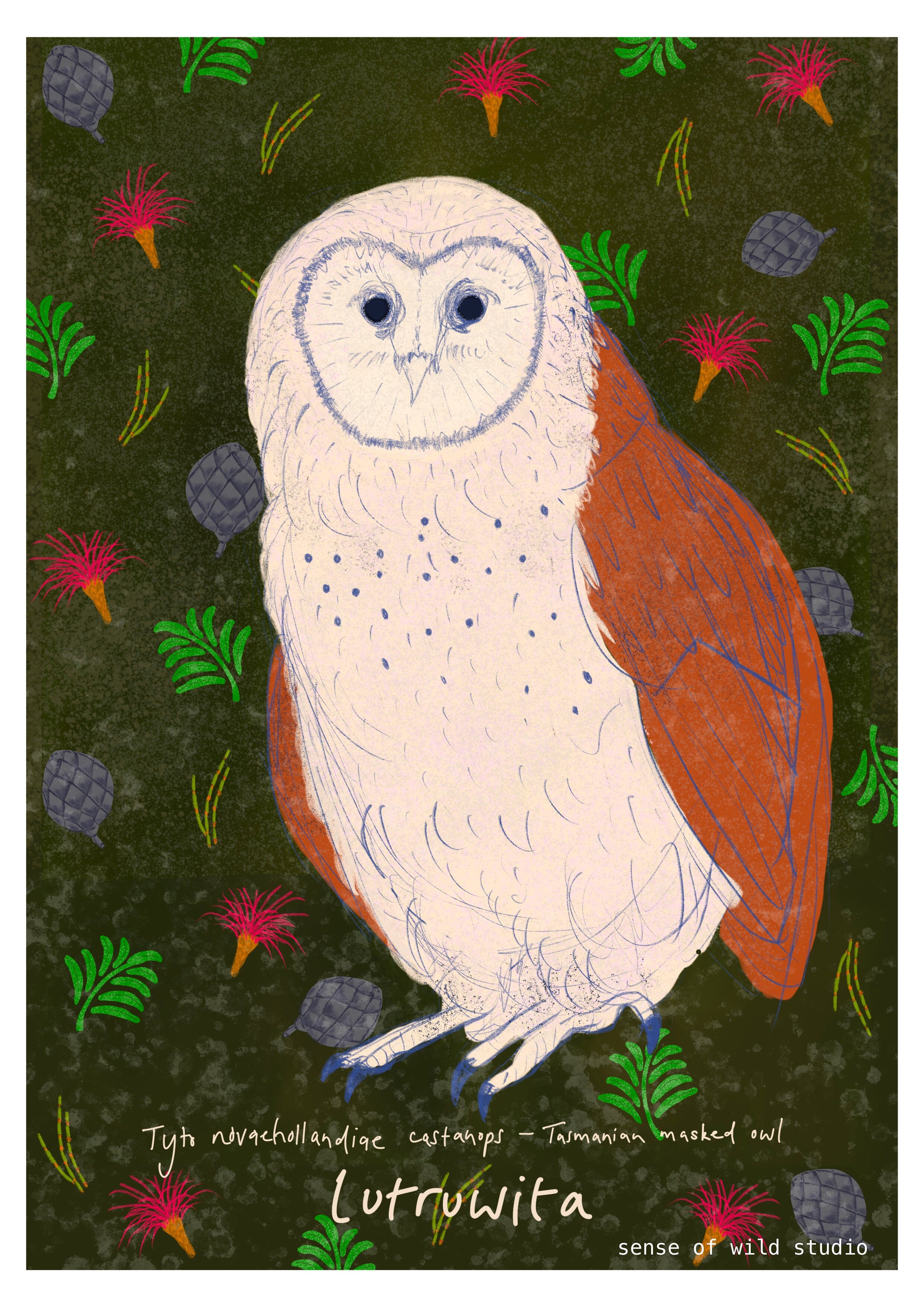 Art Prints - Sense of Wild Wall Art Sense of wild A3 Masked Owl 