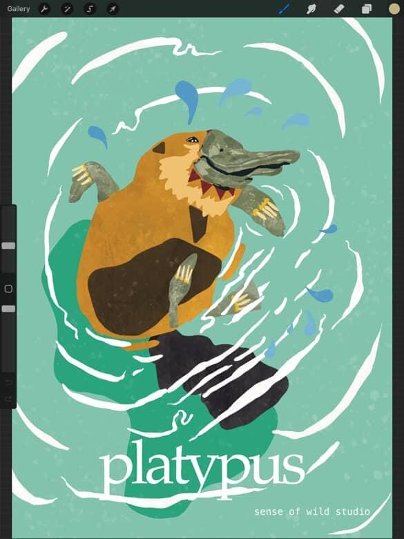 Art Prints - Sense of Wild Wall Art Sense of wild A3 Platypus 