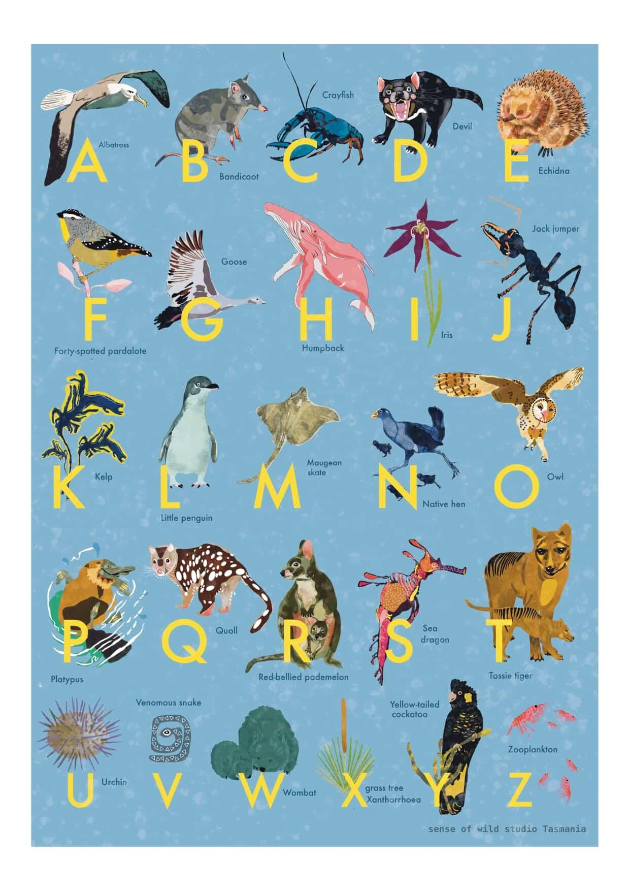 Art Prints - Sense of Wild Wall Art Sense of wild A3 Alphabet Print 