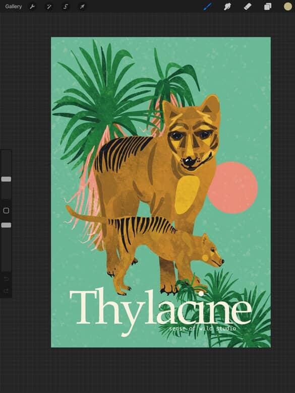 Art Prints - Sense of Wild Wall Art Sense of wild A3 Tasmanian Tiger (Thylacine) 