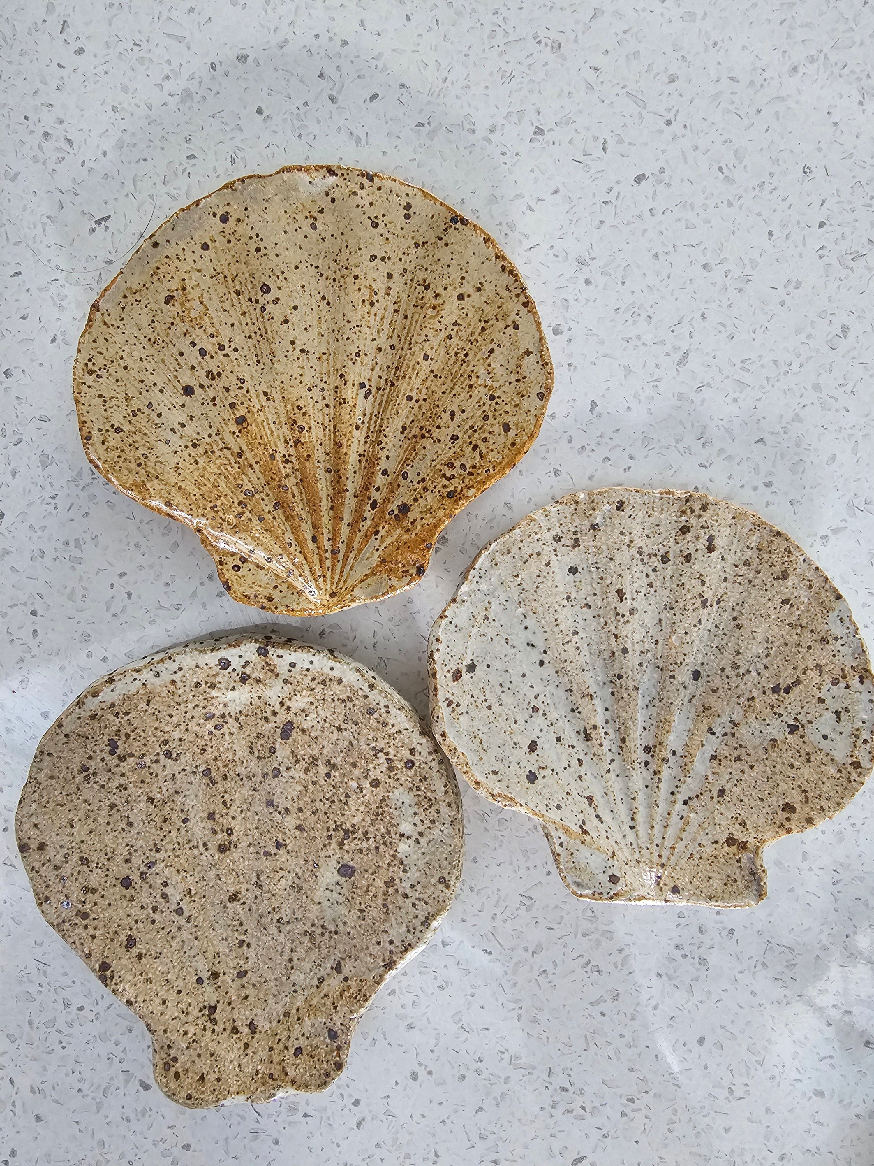 Ceramic Ring Trinket Dish - DOT Creative Tasmania Trinket Dish DOT creative Scallop Shell Earth 