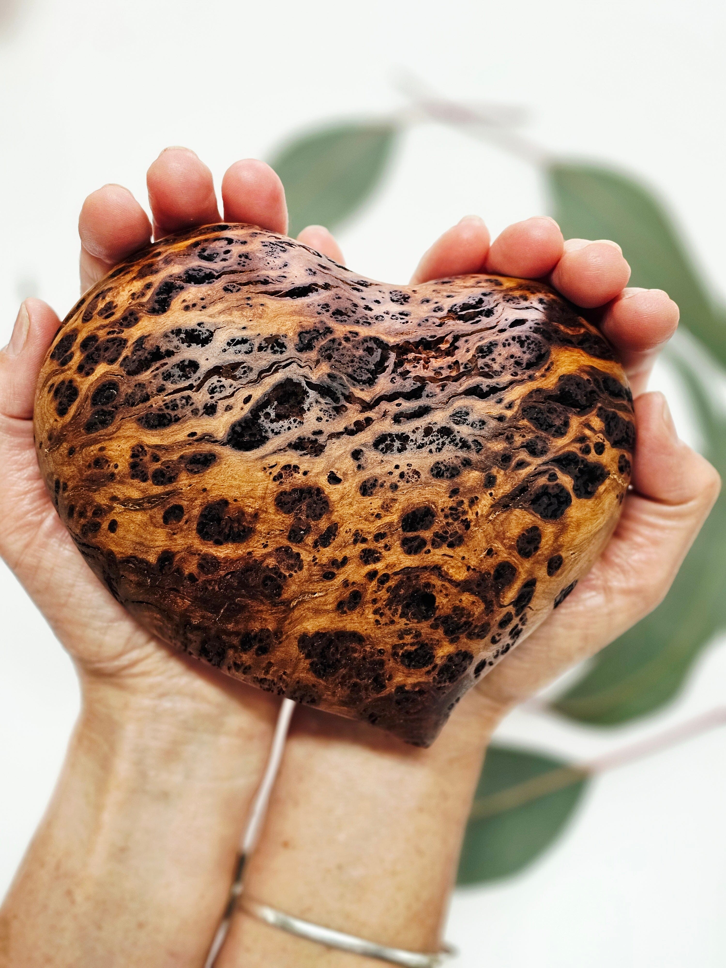 Reclaimed Timber Hearts - Sideline Timber Vase Sideline Timber XLarge Blackwood Burl 