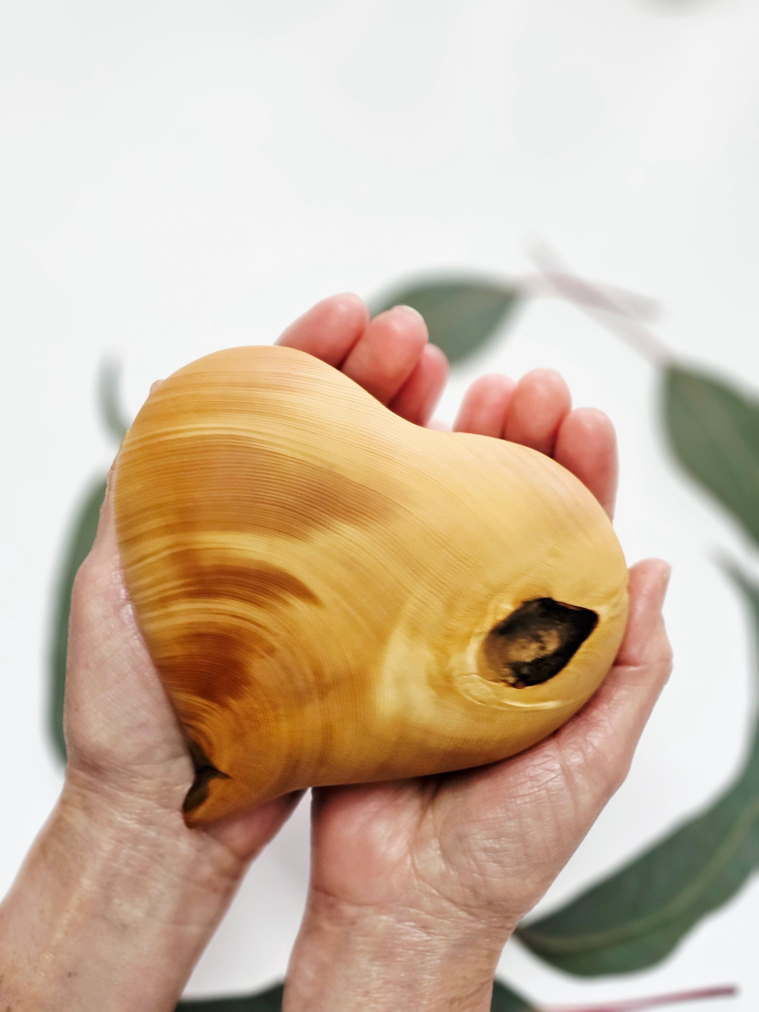 Reclaimed Timber Hearts - Sideline Timber Vase Sideline Timber XLarge Houn Pine 2 