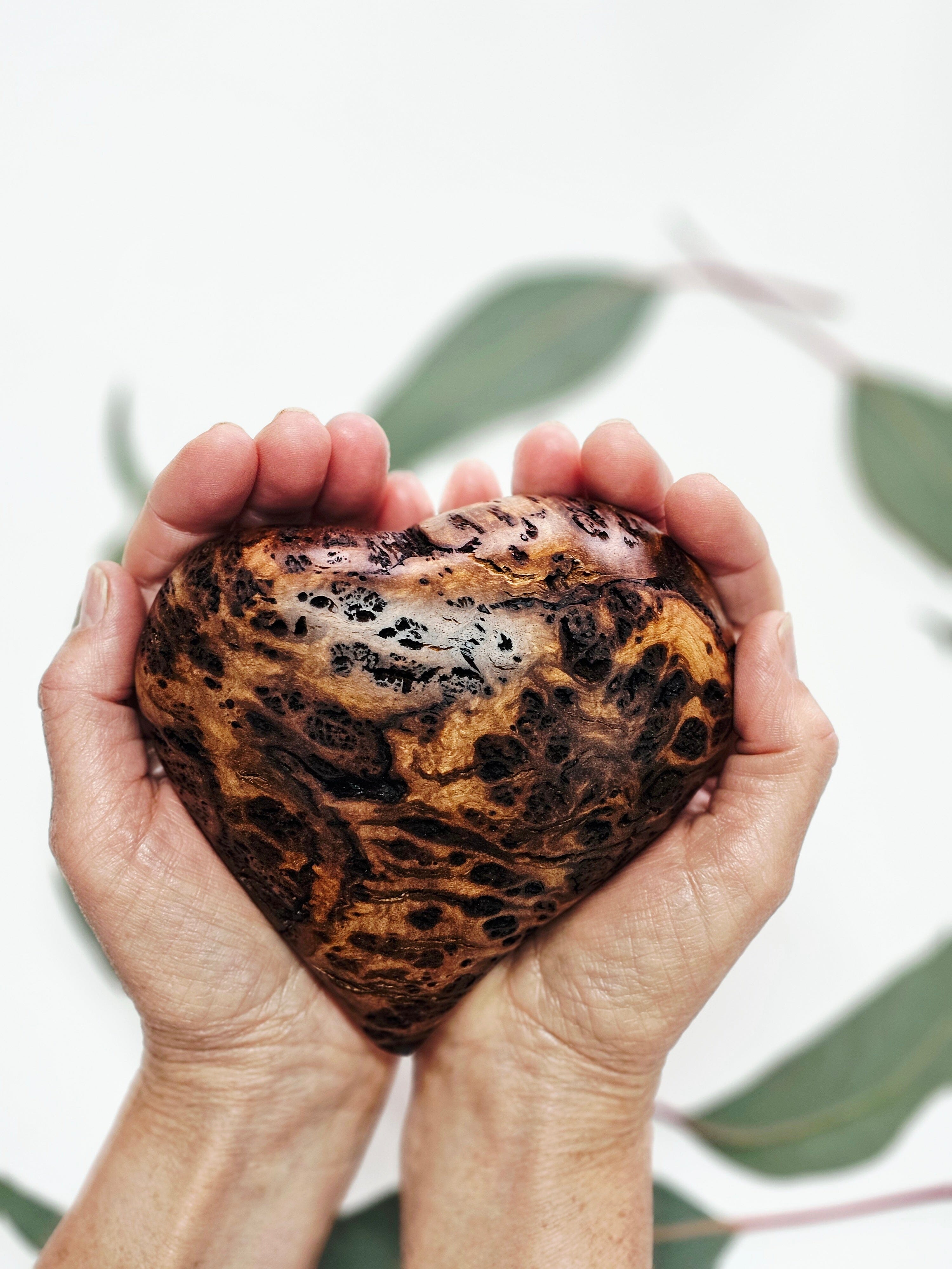 Reclaimed Timber Hearts - Sideline Timber Vase Sideline Timber Large Blackwood Burl 